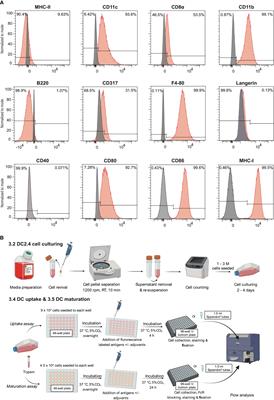 Utilizing murine dendritic cell line DC2.4 to evaluate the immunogenicity of subunit vaccines in vitro